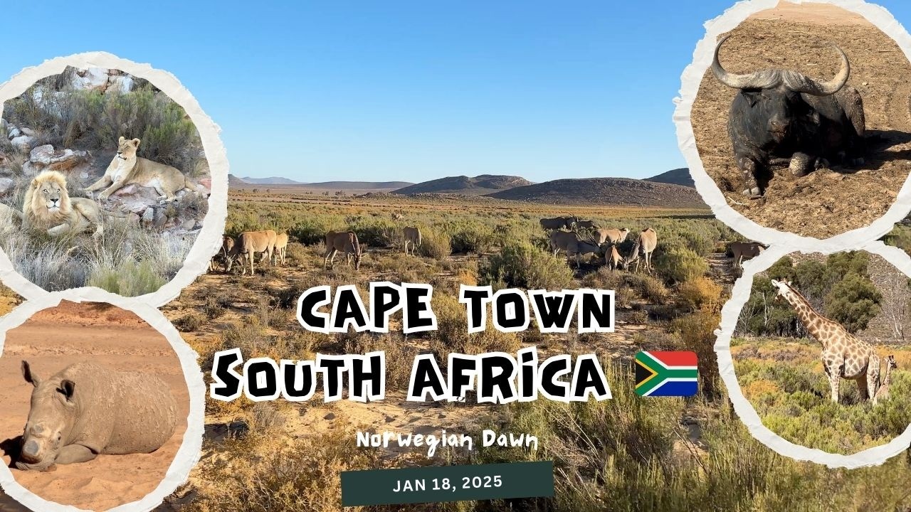 Cape Town, South Africa 🇿🇦 | Aquila Private Game Drive (Jan 2025)