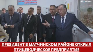 Президент в Матчинском районе открыл птицеводческое предприятие