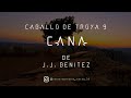 Caballo de Troya 9 - Caná de J.J. Benitez | Parte Nº7 (Voz Digital)