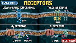 100% of the Receptor Patterns You Need for Step 1