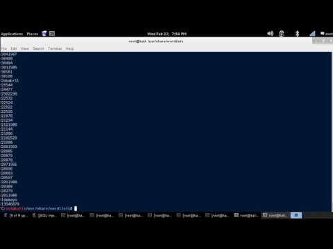 Hydra - SSH Bruteforce [Kali Linux]