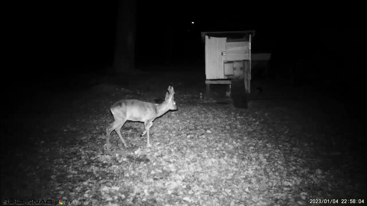 solognac bg 500. YouTube solognac bg 500. YouTube