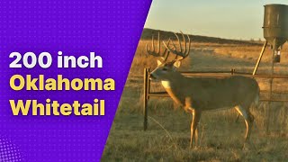 Oklahoma's Biggest Bucks - The Bryant Buck (Part 1)