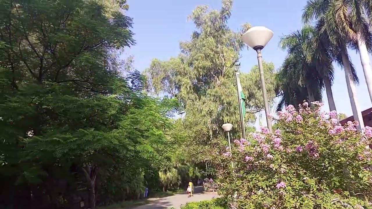 Central Institute of Education - Cie, Delhi University