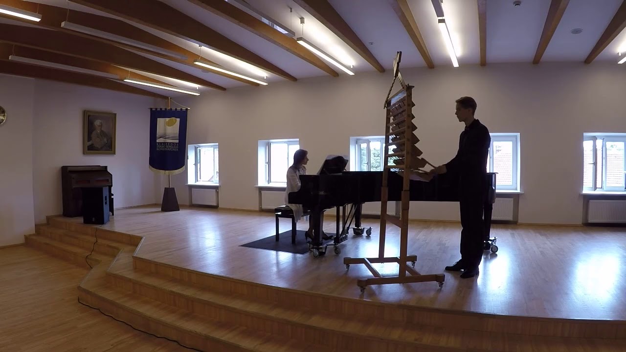 National Lithuanian instrument - YouTube