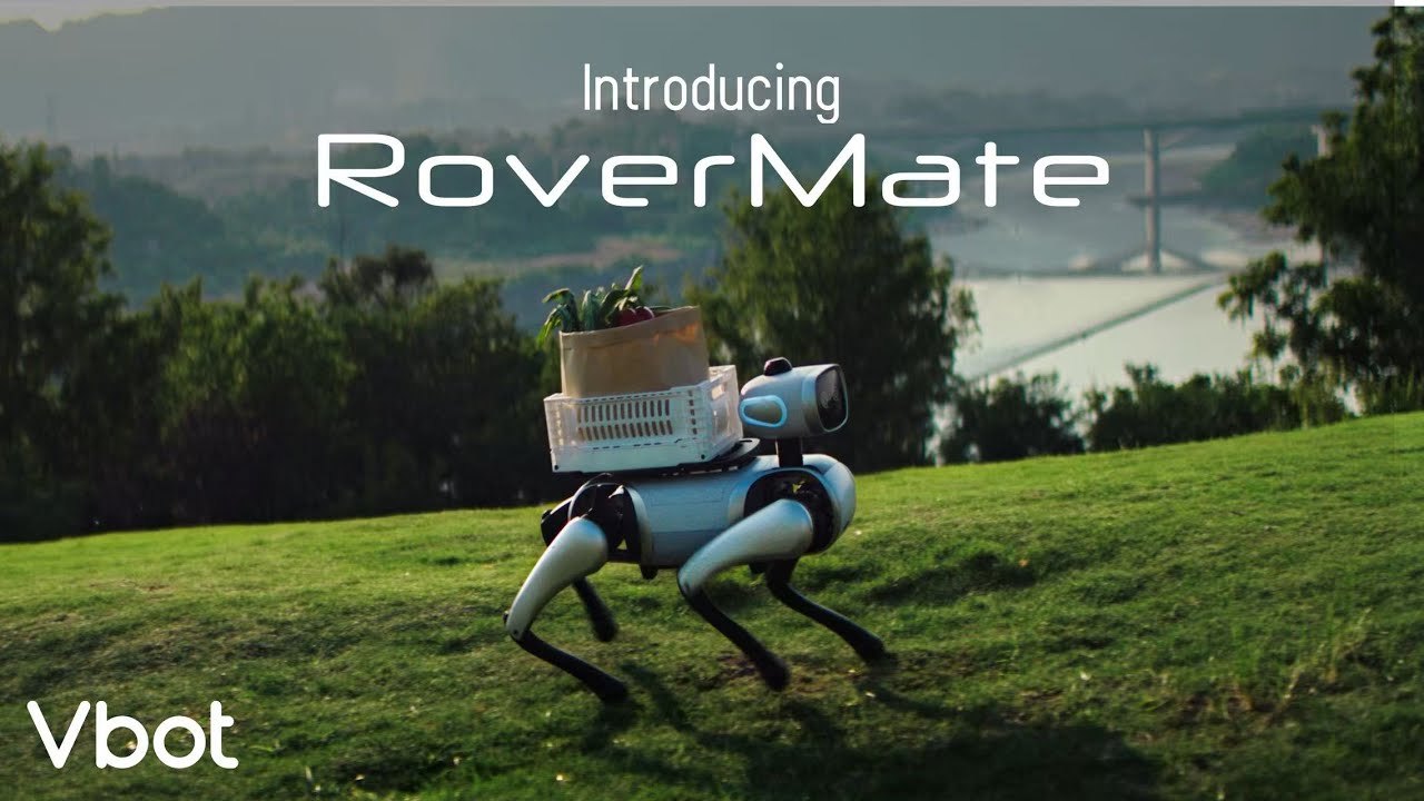 Vbot | Introducing RoverMate -  A Quadruped Robot, Controller-Free & Truly Smart