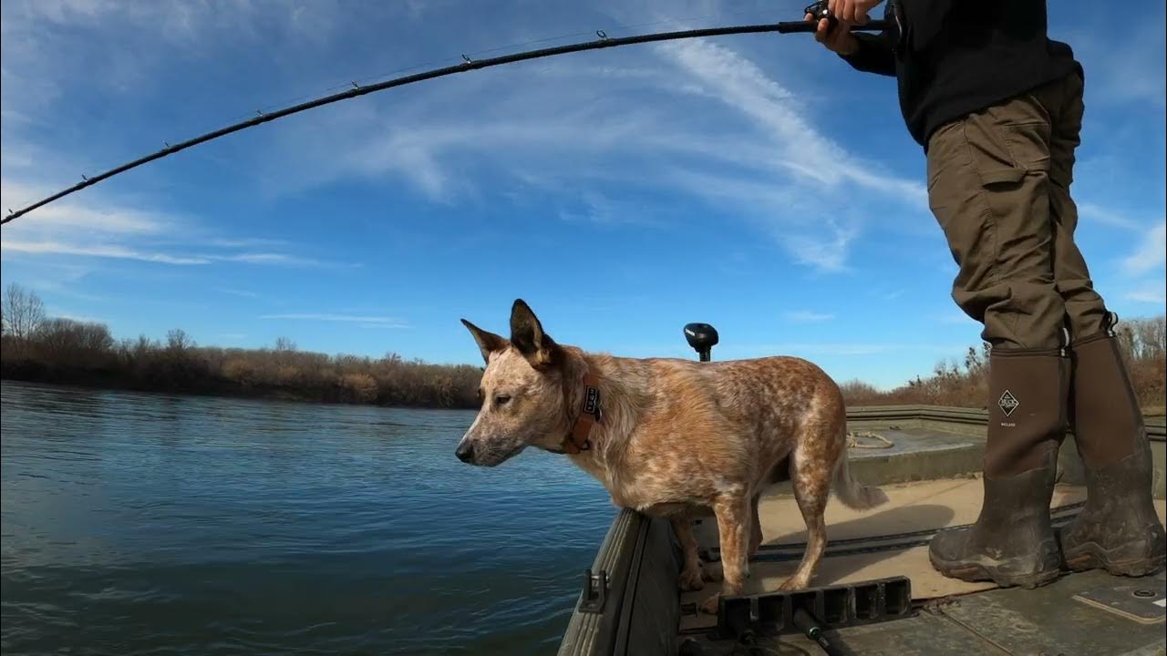 Minn Kota Powerdrive V1 Ipilot conversion (Not a install video) YouTube