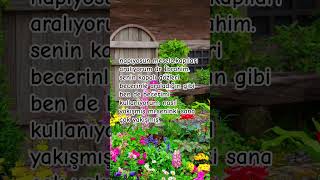 yağmur yağıyor üşüyorum çünkü Rabbimi seviyorum.çok yağış fakat temizlik like.ruhumda öyle.