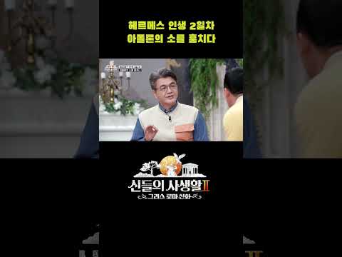 헤르메스 탄생 2일차, <strong>아폴론의</strong> 소를 훔치다 #shorts | MBN 신들의사생활2