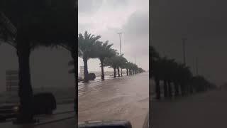 المدينة المنورة. حي الدفاع. شارع الإمام البخاري  أمطار غزيرة جدا⛈️⛈️⚡