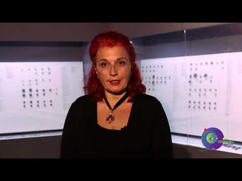 რას მოგვითხრობენ მონეტები (მაია პატარიძე)