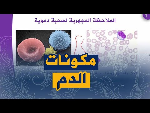 الدرس7 مكونات الدم دور الدم في نقل المغذيات علوم طبيعية للسنة الرابعة متوسط الجيل الثاني