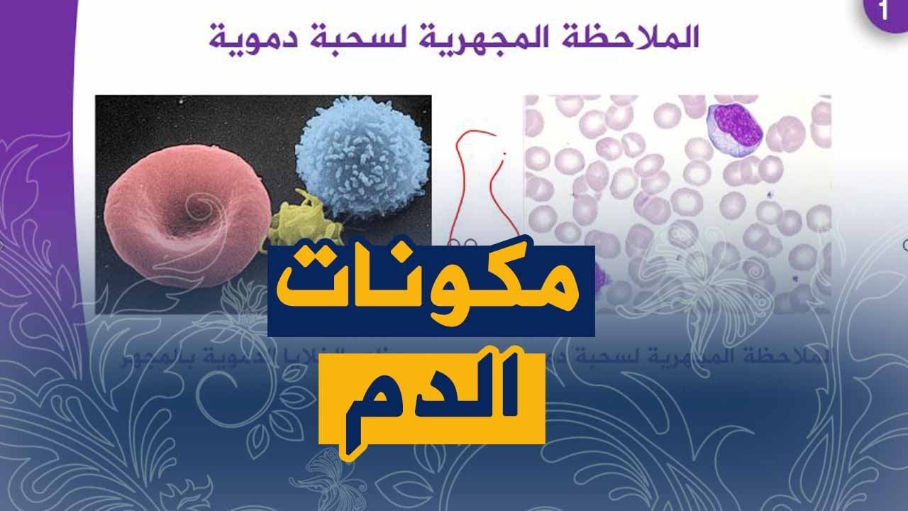 (الدرس7:مكونات الدم(دور الدم في نقل المغذيات علوم طبيعية للسنة الرابعة متوسط الجيل الثاني