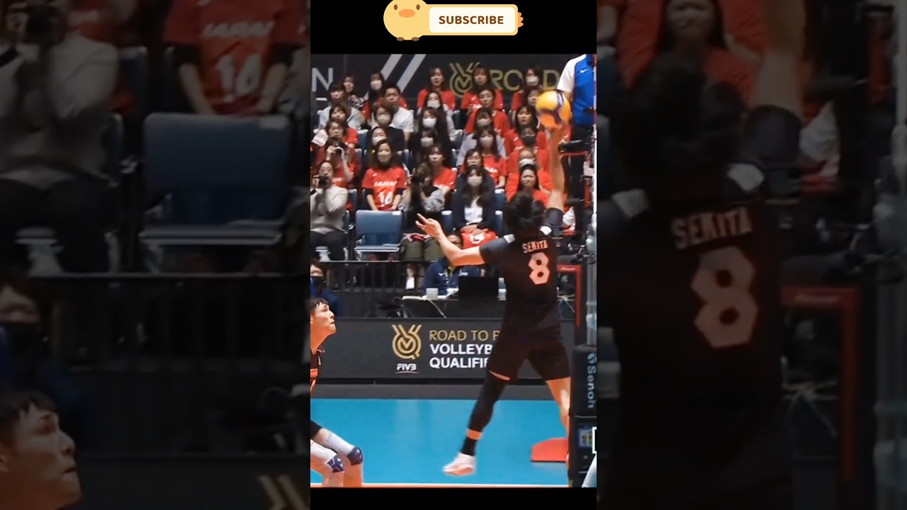 NISHIDonster 🌶️🌶️@PRINCEVOLLEYBALL678  