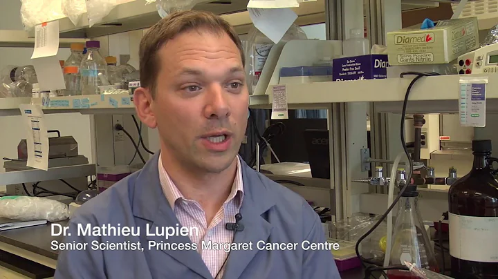 Mutation in prostate tumours shown to change epigenetic identity, the make-up of DNA