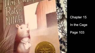 Chapter 15
