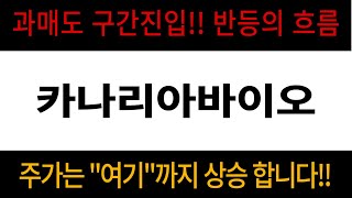 [카나리아바이오] #카나리아바이오,#카나리아바이오전망,#카나리아바이오분석,#카나리아바이오목표가,#카나리아바이오전망,#카나리아바이오대응,#카나리아바이오호재,#카나리아바이오차트,