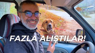 Evim Evim Güzel Evim 110. Bölüm