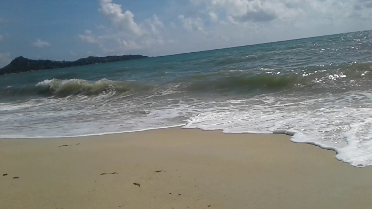 Hewlett Packard YouTube