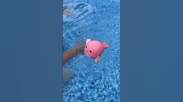 #shein #pooltoys #summervibes