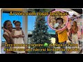 Tays montou a árvore 🌳 de Natal e Pietra ajudou, esse ano não vai ter família reunida 