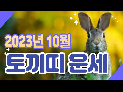 2023년 10월 운세 토끼띠 라면 참고 하세요 운곡스님의 점찰이야기 