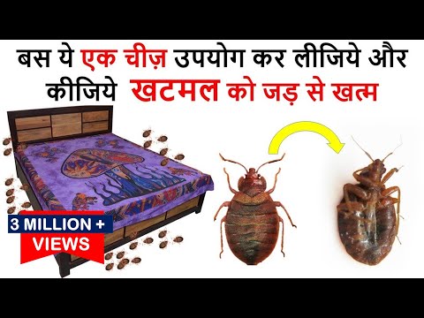 वीडियो: बिस्तर कीड़े कैसे पुनरुत्पादित करते हैं?