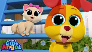 bingo s fun playdate little angels kids cartoons