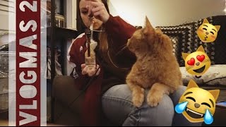 Cat Watches Me Dab! // Vlogmas Day 2