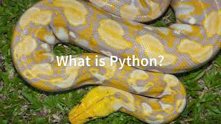 Python Basics Part-1