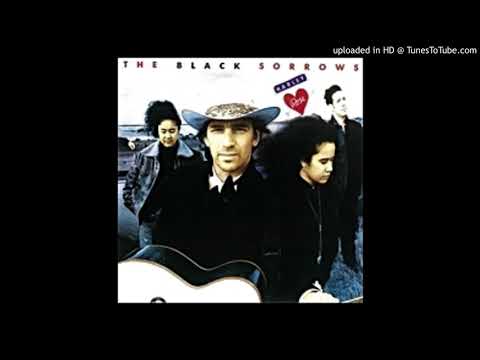 Baby It's A Crime - the black sorrows