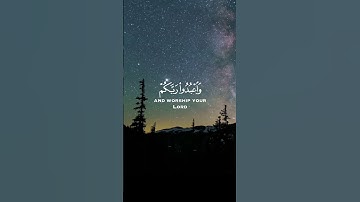 سورة الحج #عبدالرحمن_مسعد