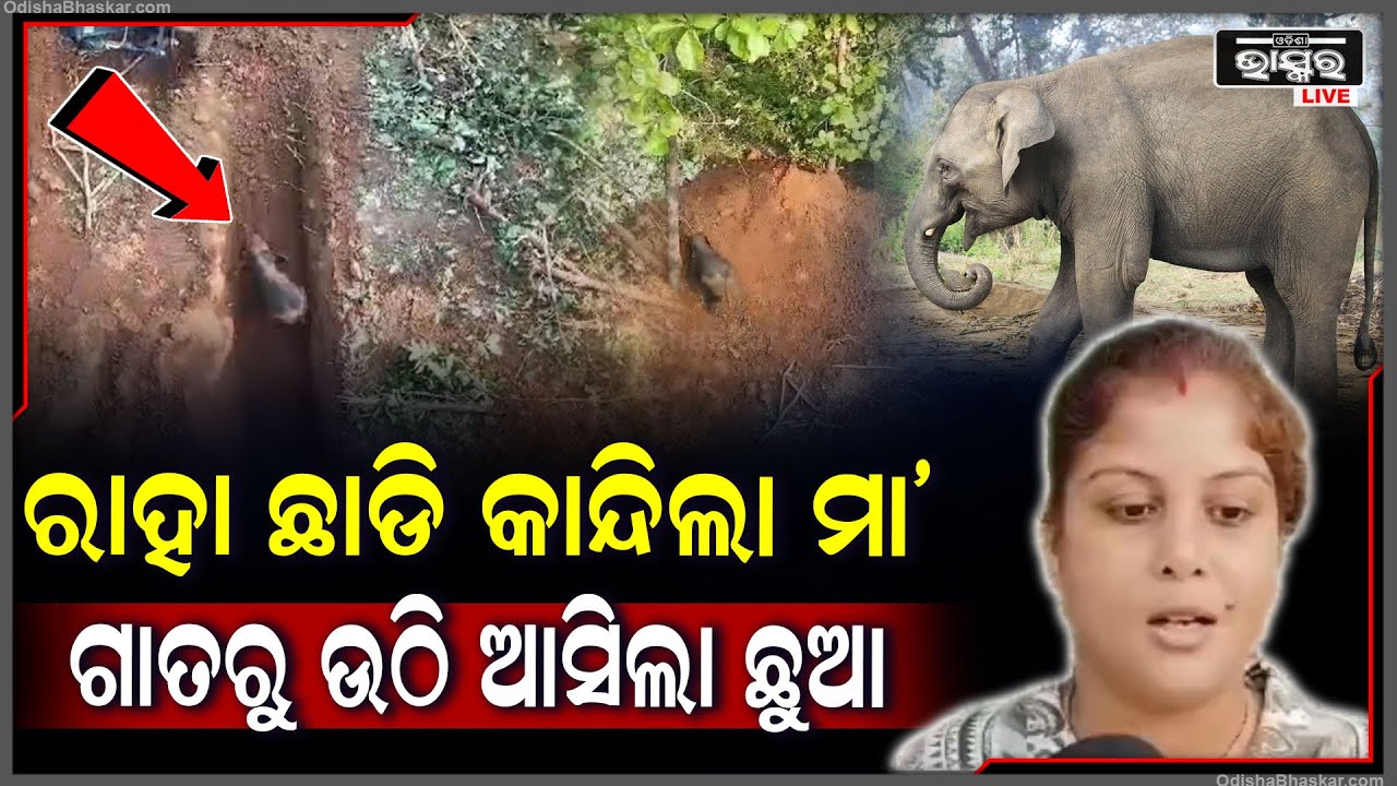 ବାହାରେ ଠିଆ ରାହା ଛାଡି କାନ୍ଦୁଛି ମା’ ହାତୀ,ସହିପାରିଲେନି ସ୍ଥାନୀୟ ଲୋକେ..ଗାତରୁ ହାତୀ ଛୁଆକୁ ଉଦ୍ଧାର କଲା ବନବିଭାଗ