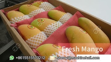 How Are Dried Mangoes Processed?