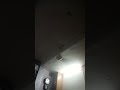 @ShadFan3567