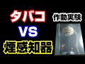 タバコの煙で煙感知器を作動させてみた！！【自動火災報知設備】#消防設備士　#消防設備