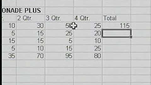 Learn Excel 97 (Video Professor) (Level 2)