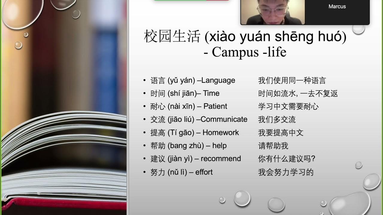 assignment meaning in chinese