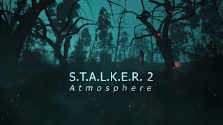 Surreal East  - Silhouettes in the fog [S.T.A.L.K.E.R. 2 Atmosphere]