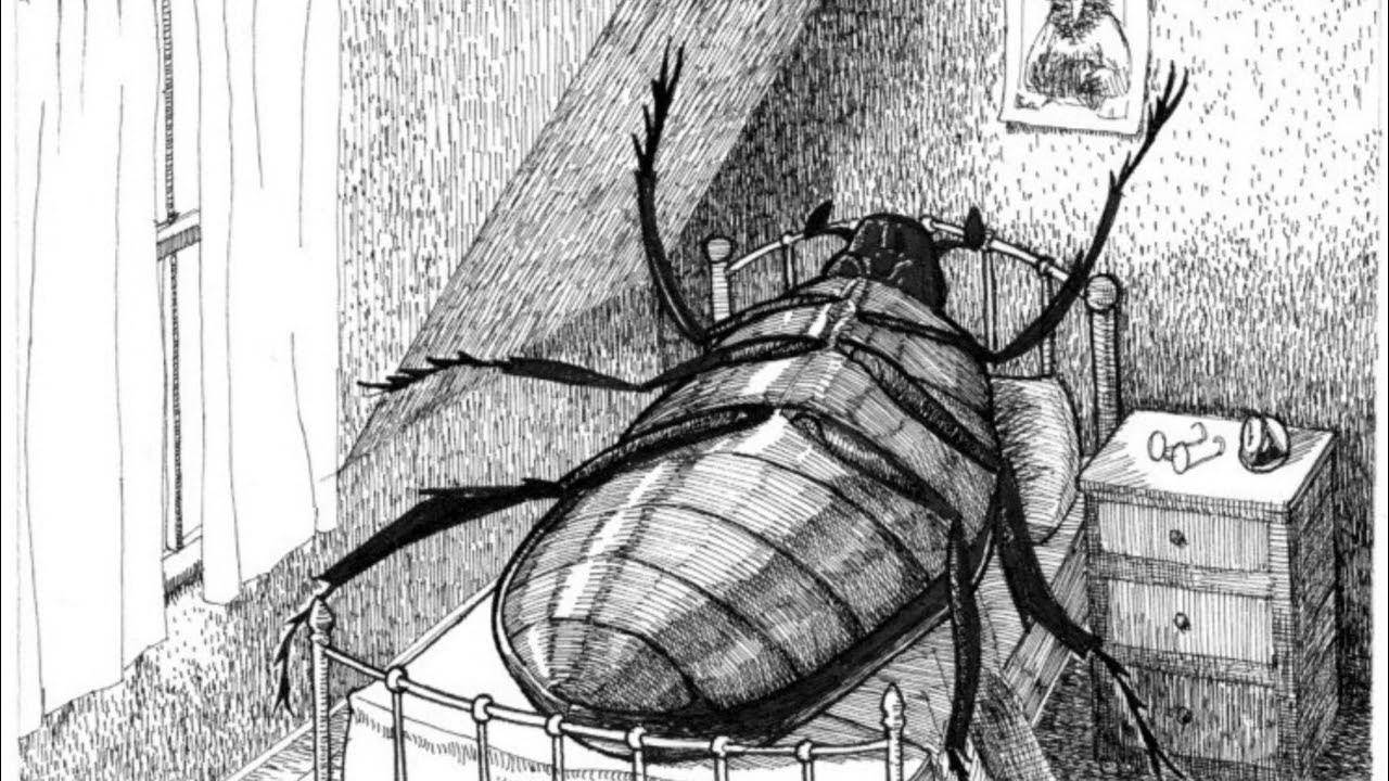 Грегор кафка. Грегор замза превращение. Грегор замза превращение. Кафка грегор замза. Кафка грегор замза.