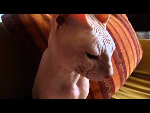 Jan`s Mr.Naked 19.09.2012