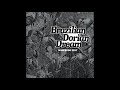 Thumbnail for Manfredo Fest - Brazilian Dorian Dream