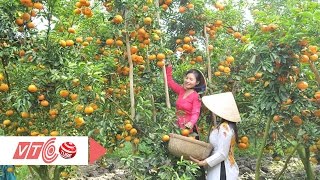 Lai Vung vùng đất của những đặc sản quý | VTC