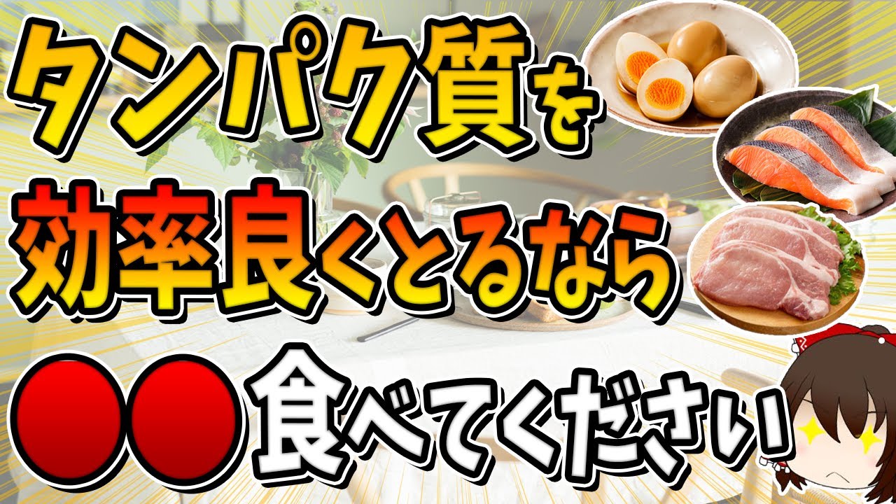 【総集編】効率的なタンパク質の摂り方4選！【体質改善】