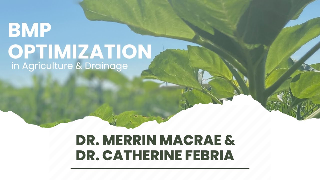 BMP Optimization in Agriculture & Drainage YouTube