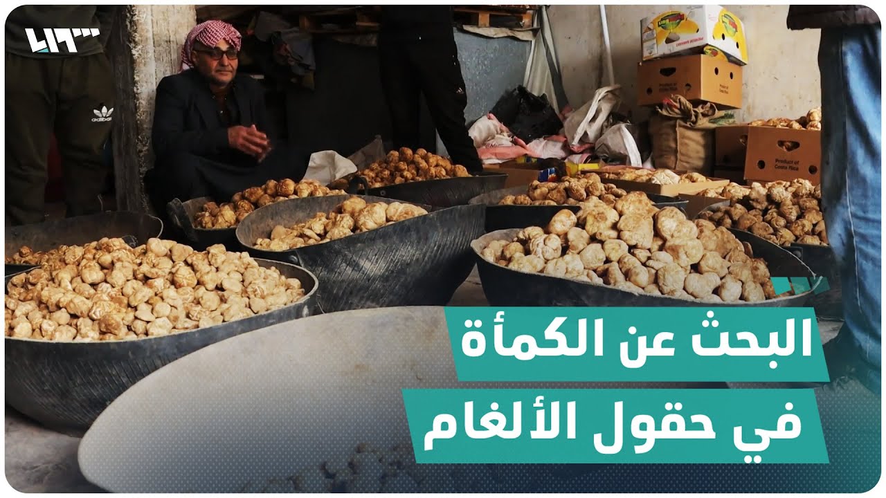 أهالي الحسكة يبحثون عن 