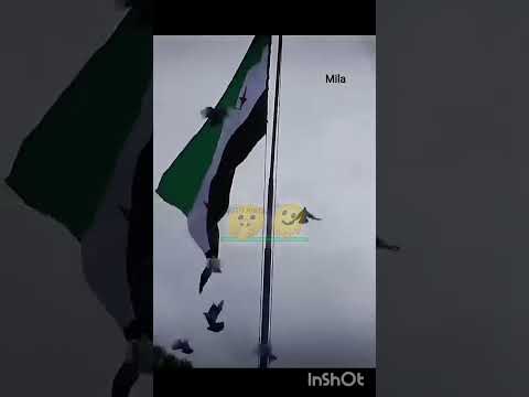 سوري والنعم مني خلقان على ارض الجنة بتهون اكسبلور ترند