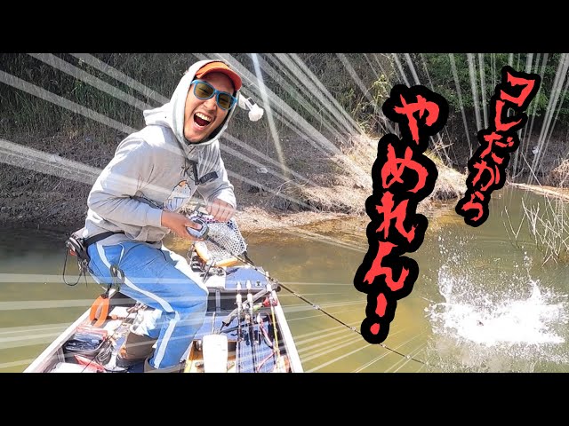 バス釣りで水面爆発させろ！！トップウォーターバスフィッシング - YouTube
