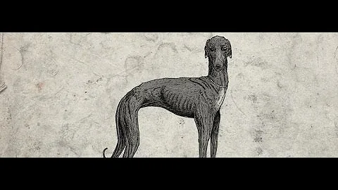 Igorrr & Ruby My Dear - Alain