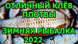 зимняя рыбалка 2022, ловля рыбы на мормышку,рыбалка зимой со льда